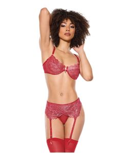 Metallic Stretch Lace Underwire Bra w/Crotchless Garter Panty - Red LG