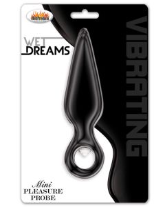 Wet Dreams Vibrating Mini Pleasure Probe - Black