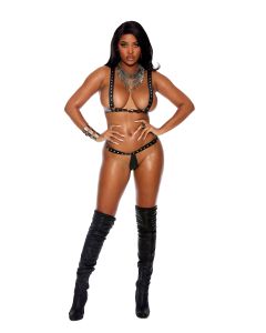 Leather Harness