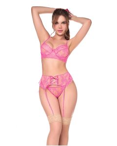 Sheer Lace Underwire Top w/Panty & Garter 3 pc Set - Pink