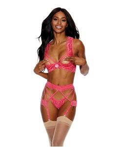 Lace Underwire Peek a Boo Bra, Garterbelt & G-String Coral