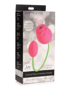 Inmi Bloomgasm 5X Suction Rose Duet - Pink